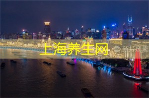 上海新茶工作室：立体美感！上海新茶工作室用茶饮艺术点亮你的味觉！