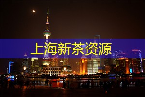 后花园探奇：上海隐藏的奇异植物