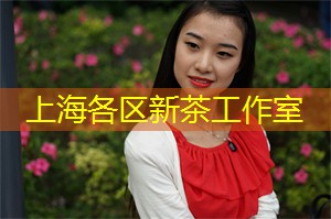 上海新茶工作室：考验品茗技巧！上海新茶工作室邀请你参加茶辨识大赛